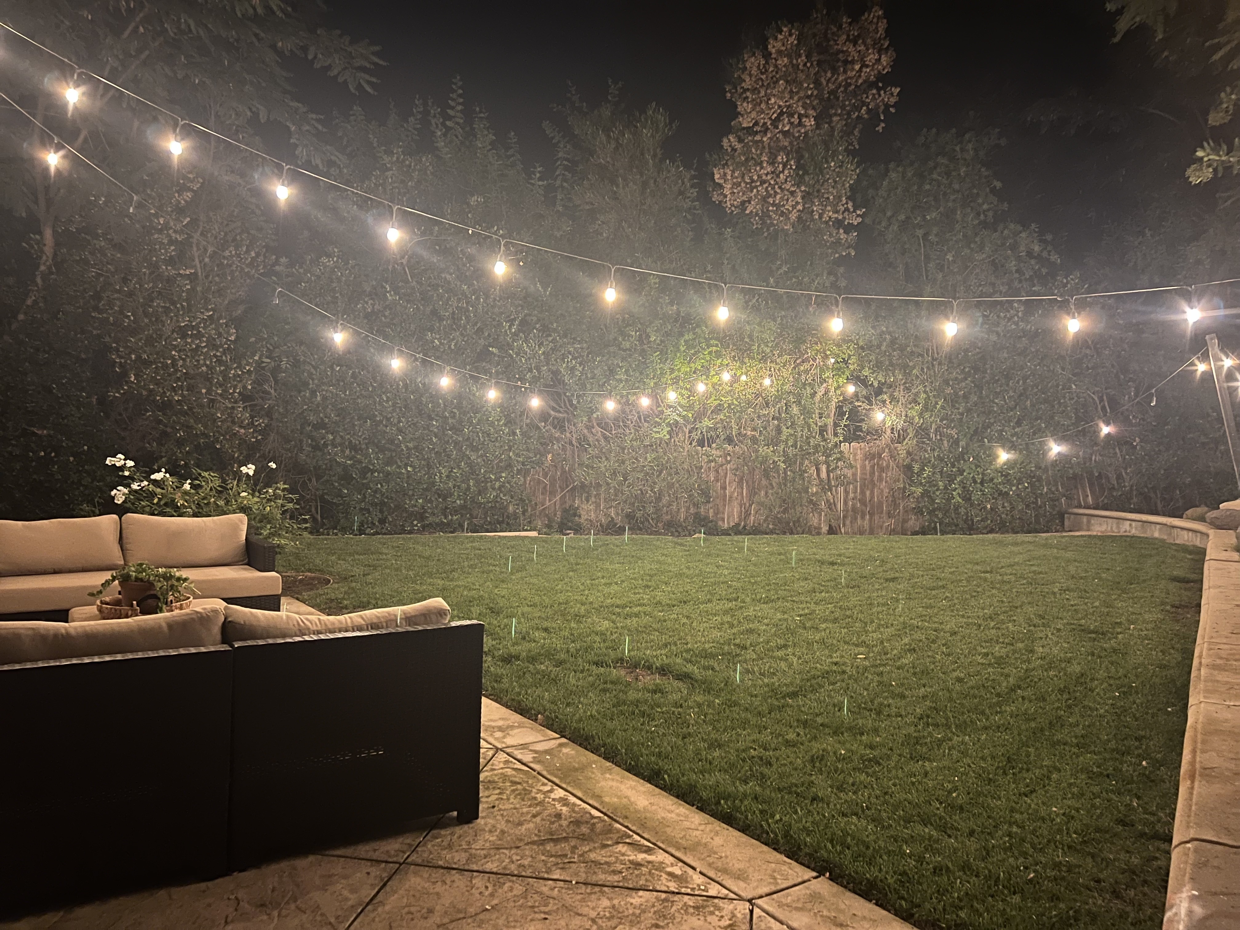 Backyard patio under string lights